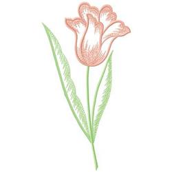Whimsical tulip with soft pink petals and delicate green leaves, perfect for spring decor.
