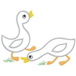 Two Ducks