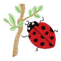 Tree Ladybug