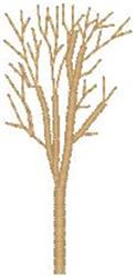 Bare Tree