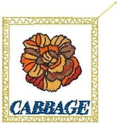Vibrant cabbage flower with orange, yellow, and red hues, framed in gold, featuring bold blue 'CABBAGE' text.