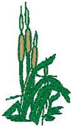 Cattails