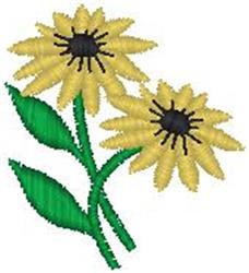 Daisies 