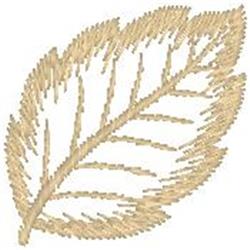 Elm Leaf