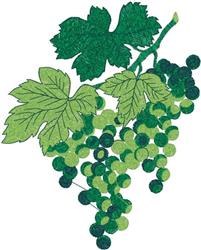 leaf detailed machine embroidery - Grapevine perfect for decorative pillow covers