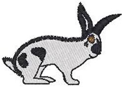 Jackrabbit