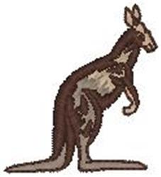Kangaroo