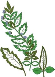 Leaf Design