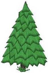 Pine Tree