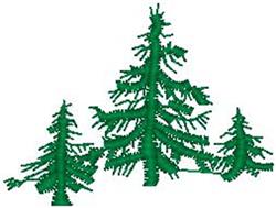 Pine Trees