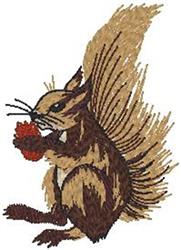 Red Squirrel