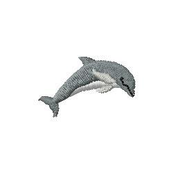 Dolphin