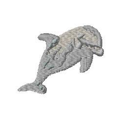 Dolphin