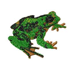   Frog
