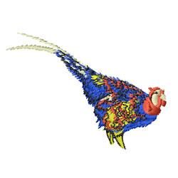 Pheasant