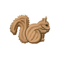 Squirrel