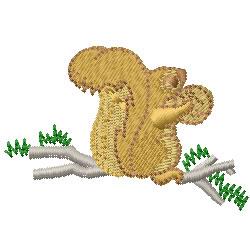 Squirrel & Nut