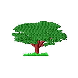 Walnut Tree