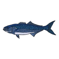 Bluefish Embroidery Design | EmbroideryDesigns.com