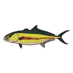 Amberjack