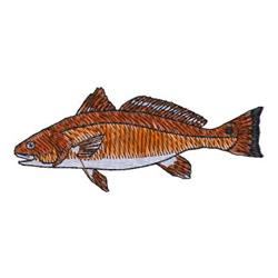 Red Drum