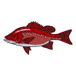 Red Snapper