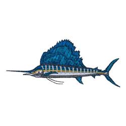 Sailfish