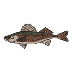 Walleye