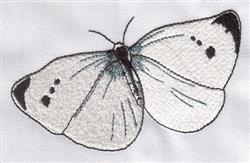 Cabbage White