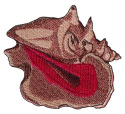 Conch
