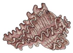 Sea shell