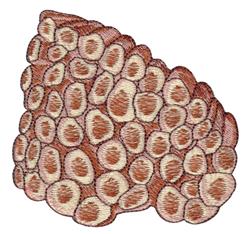 Realistic sea shell with textured beige and brown surface, showcasing intricate natural patterns.