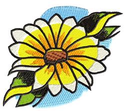 Daisy