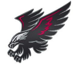 Eagle - 5x7 bird detailed machine machine embroidery design perfect for Team Jerseys