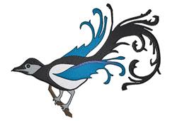 Fancy Bird
