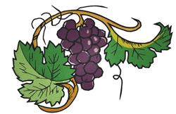 Grapes