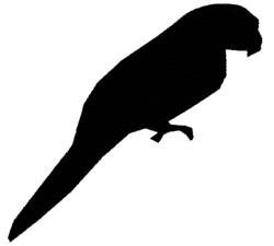 bird beginner-friendly machine embroidery - Parrot perfect for patchwork quilt blocks