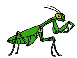 Praying Mantis - 5x7 manti detailed machine embroidery design for cute baby onesies