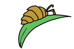 Snail On Leaf