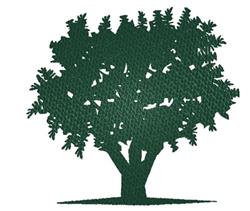 Stylized tree with dark green foliage and smooth texture, set against a white background.