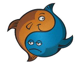 Two playful fish, one orange with a cheerful expression and a subdued blue fish, in vibrant colors on a white background.