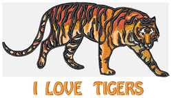 Love♡Tiger True Love | Species: Panthera Tigris - White Tiger Sex: Male
