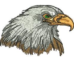 Realistic bald eagle head featuring intricate feather textures and a striking golden beak.