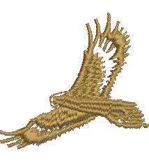 Eagle in flight with wide-spread wings, showcasing detailed golden-brown feathers and graceful motion.