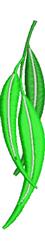 leaf beginner-friendly machine embroidery - Eucalyptus perfect for kitchen tea towels