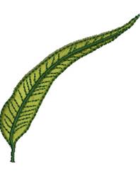 quick stitch tree machine embroidery pattern - Eucalyptus Leaf for reusable tote bags