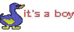 Its A Boy - 5x7 bird beginner-friendly machine embroidery design for cute baby onesies