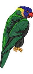 Rainbow Lorikeet - 4x4 bird beginner-friendly embroidery design for kitchen tea towels