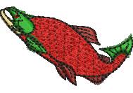 Salmon - 4x4 salmon quick stitch machine embroidery design for Fishing Tackle Bags