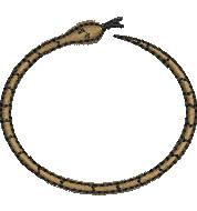 Stylized snake coiled in a light brown circle, featuring smooth contours in minimal line art style.